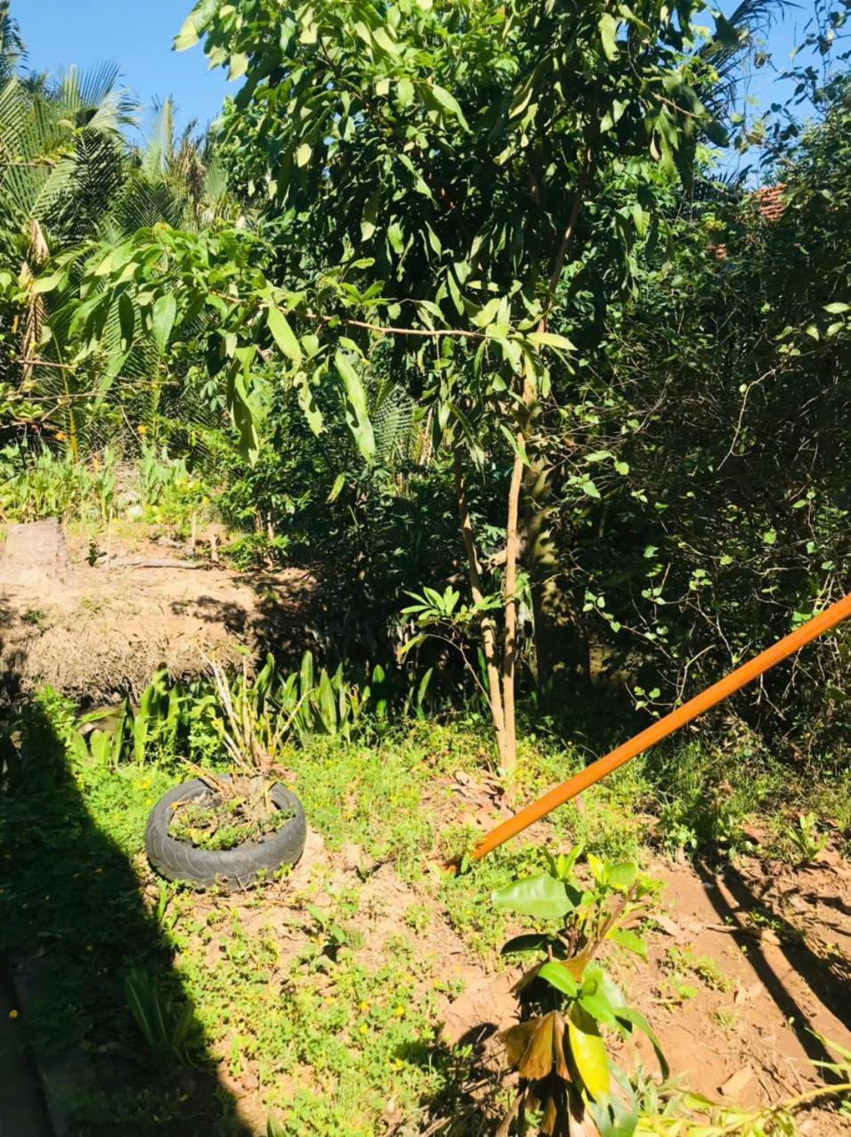 Ba Danh Homestay & Kitchen - Ben Tre Mekong Экстерьер фото